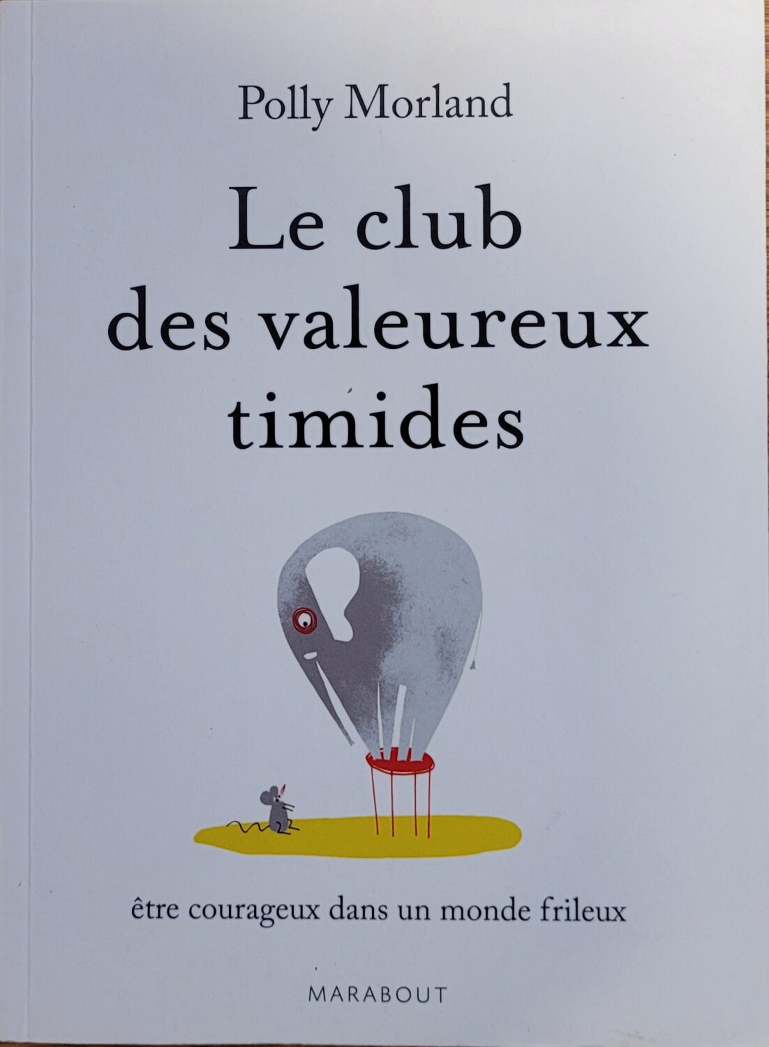Couverture de Le club des valeureux timides