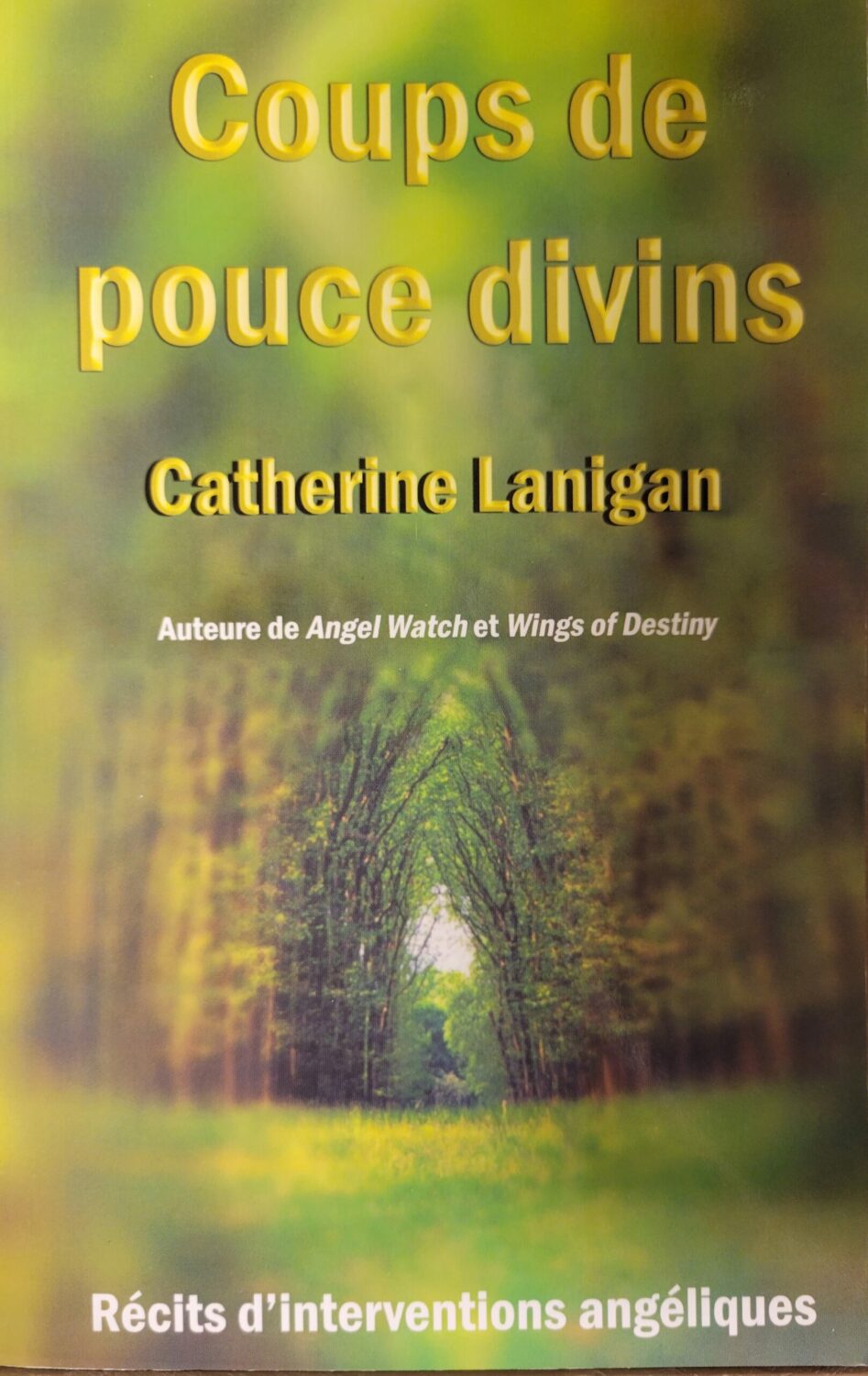 Couverture de Coups de pouce divins : Récits d'interventions angéliques