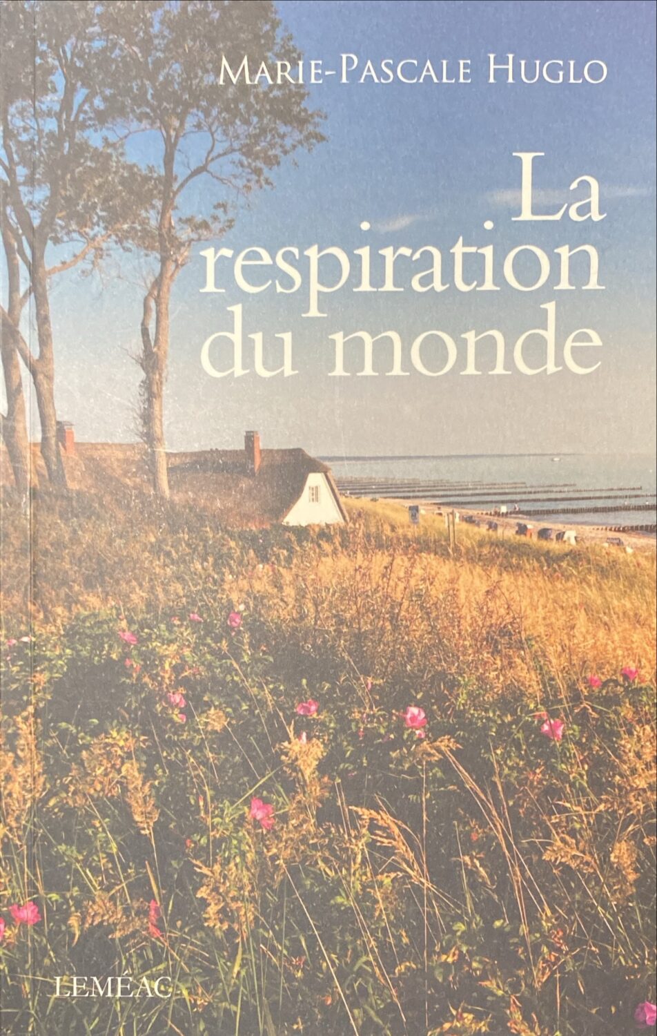 Couverture de La respiration du monde