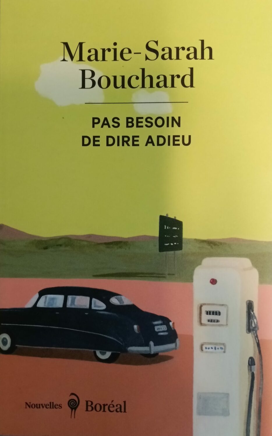Couverture de Pas besoin de dire adieu