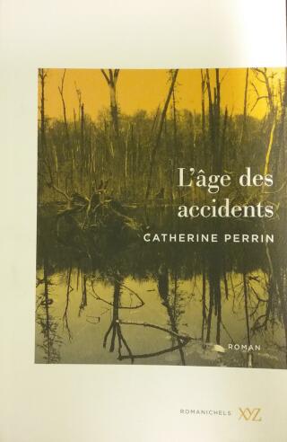Couverture de L'âge des accidents