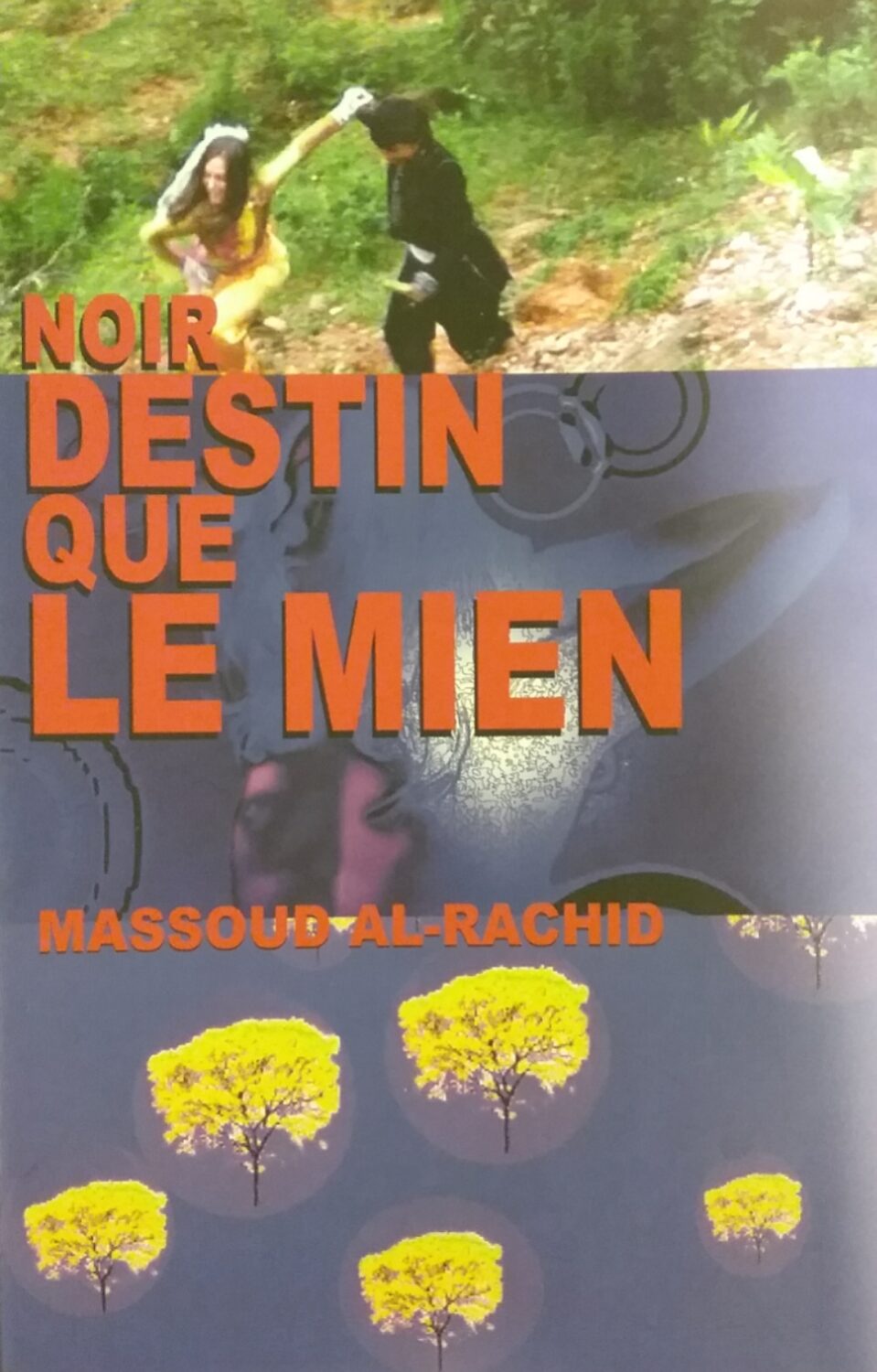 Couverture de Noir destin que le mien