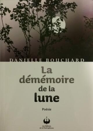 Couverture de La démémoire de la lune