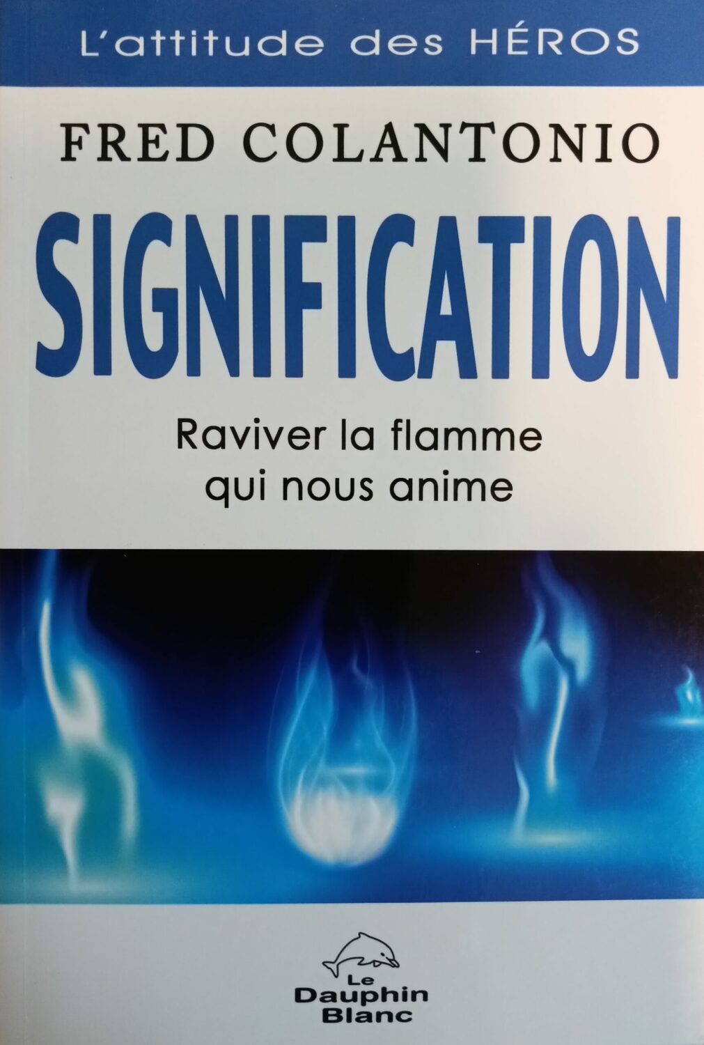 Couverture de Signification : Raviver la flamme qui nous anime