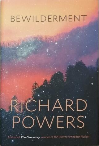 Couverture de Bewilderment