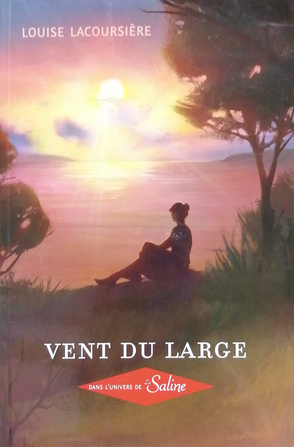 Couverture de Vent du large