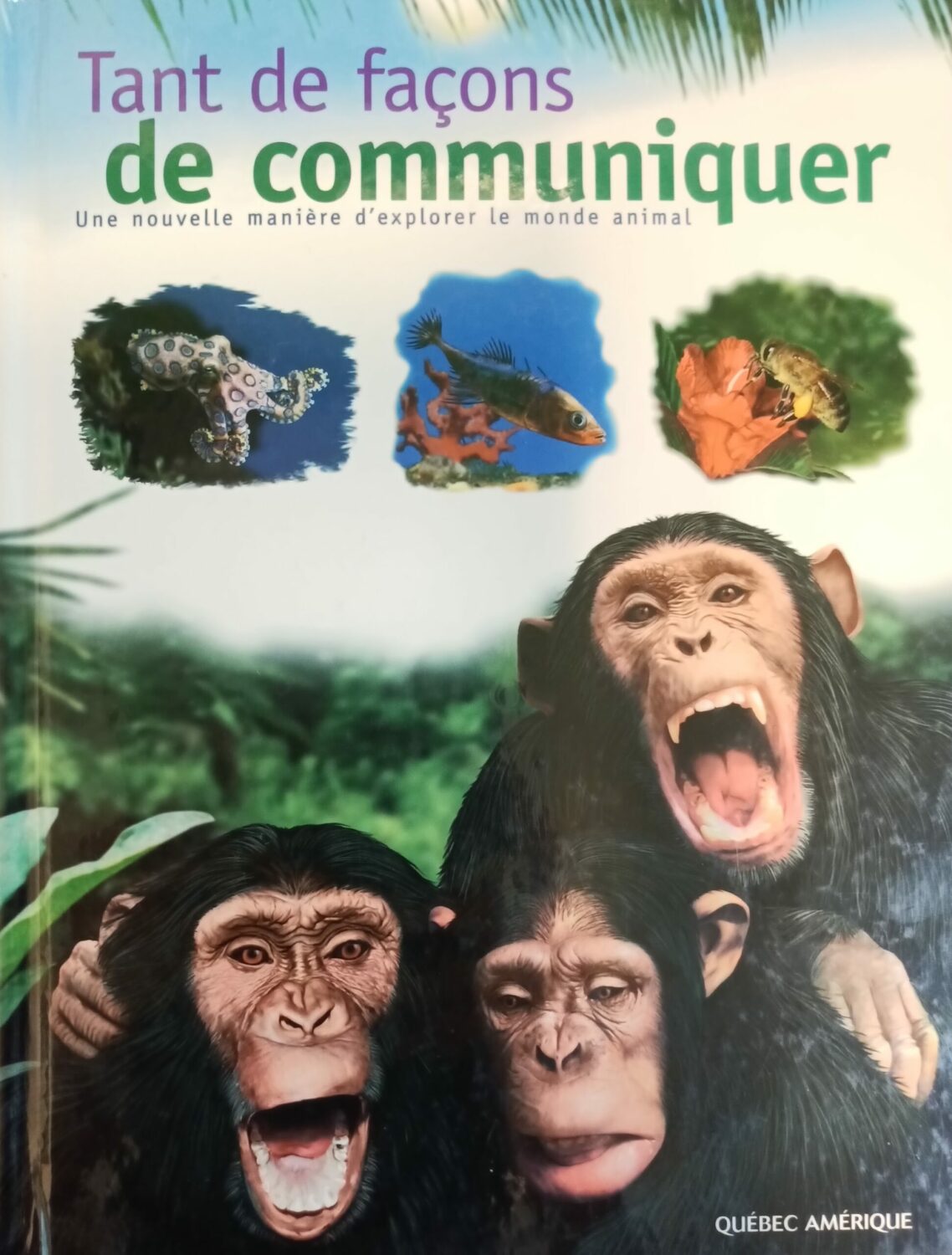Couverture de Tant de façons de communiquer : Une nouvelle manière d'explorer le monde animal