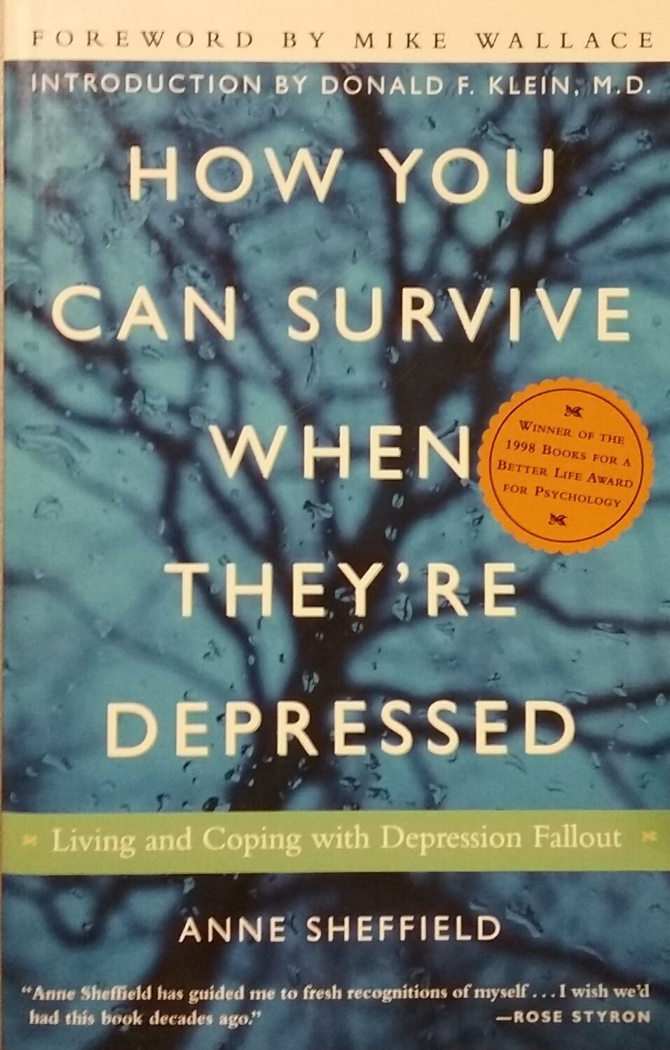 Couverture de How You Can Survive When They're Depressed : Living and Coping with Depression Fallout
