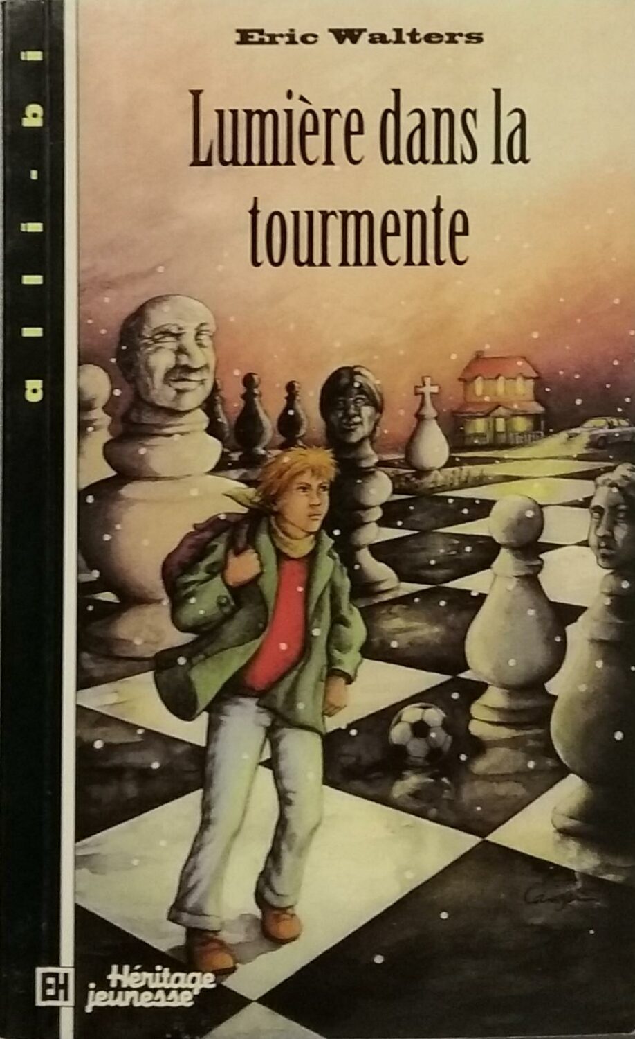 Couverture de Lumière dans la tourmente