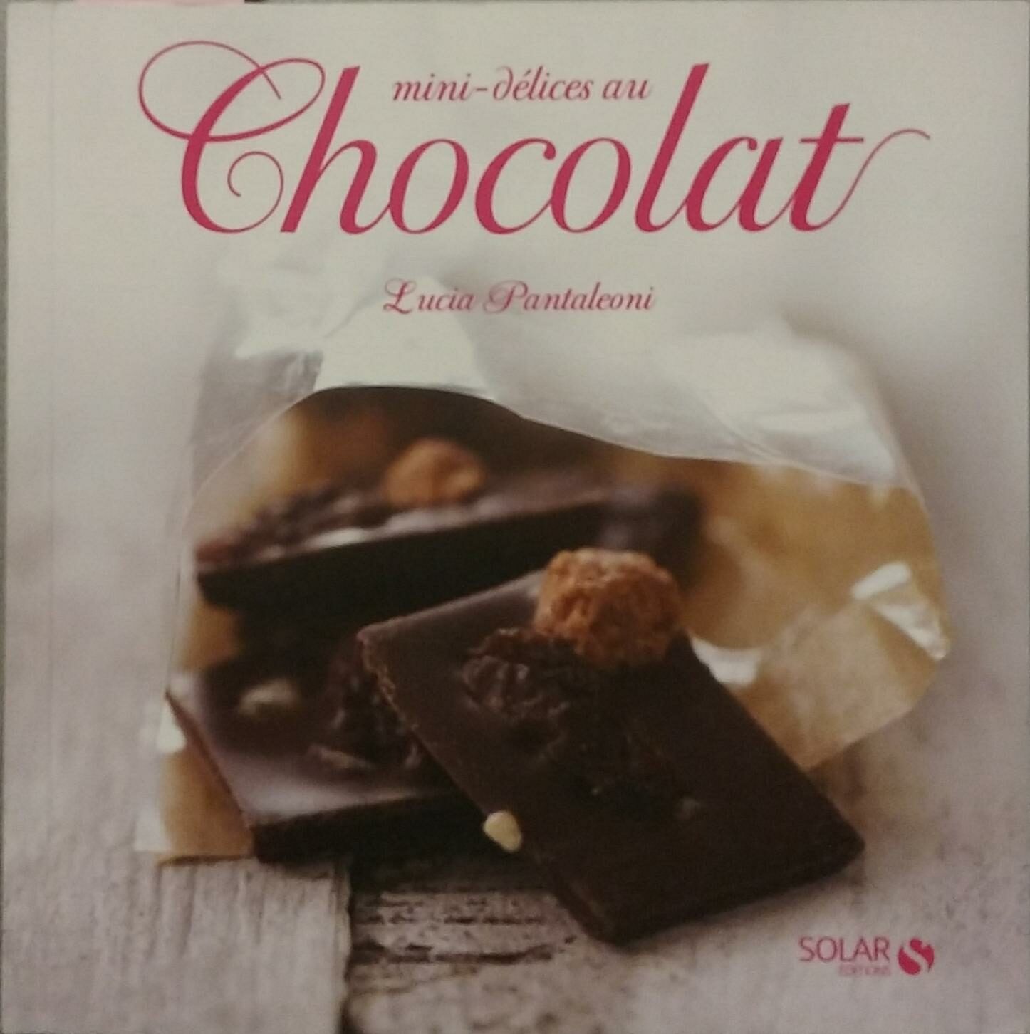 Couverture de Mini-délices au chocolat