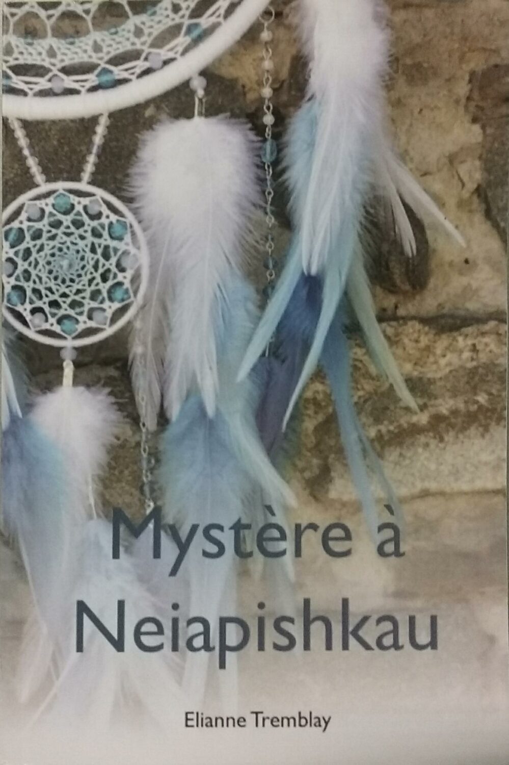 Couverture de Mystère à Neiapishkau