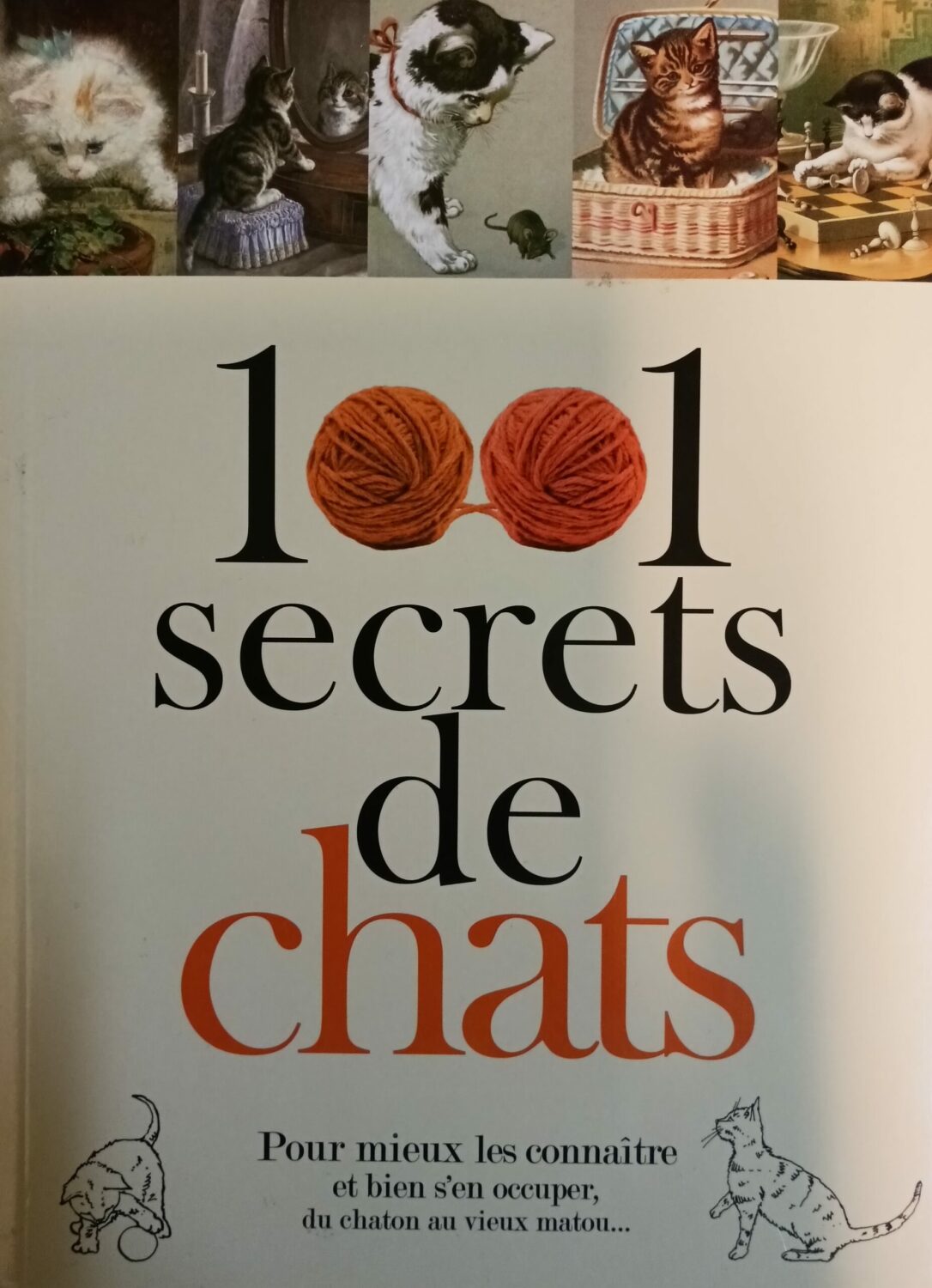 Couverture de 1001 secrets de chats