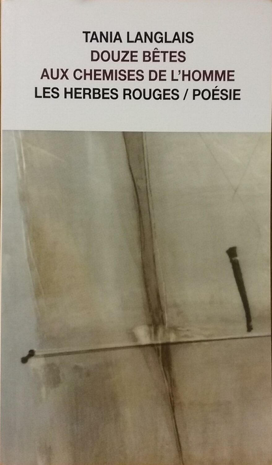 Couverture de Douze bêtes aux chemises de l&rsquo;homme