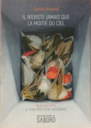 Couverture de Il n&rsquo;existe jamais que la moitié du ciel/Il fera peut-être naissance