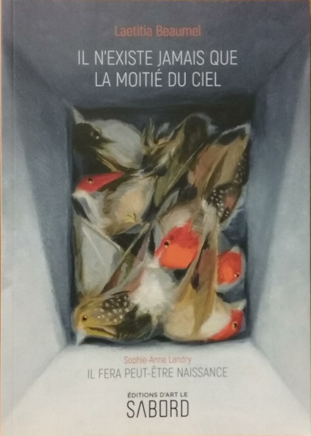 Couverture de Il n’existe jamais que la moitié du ciel/Il fera peut-être naissance