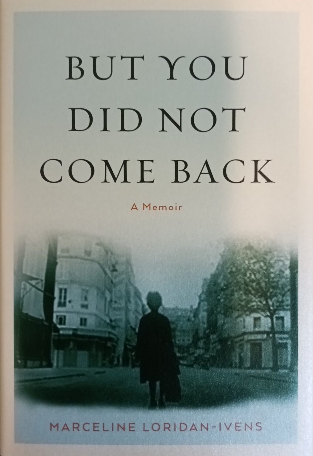 Couverture de But You Did Not Come Back