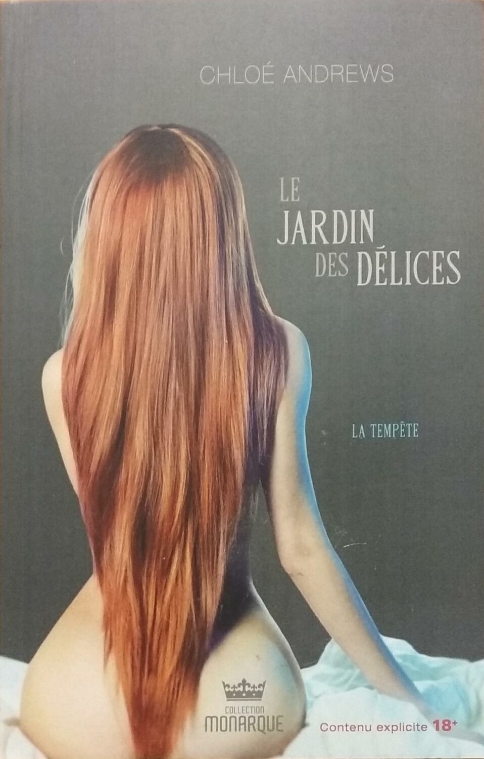 Couverture de Le jardin des délices Tome 2 : La tempête