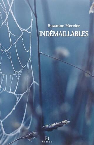 Couverture de Indémaillables