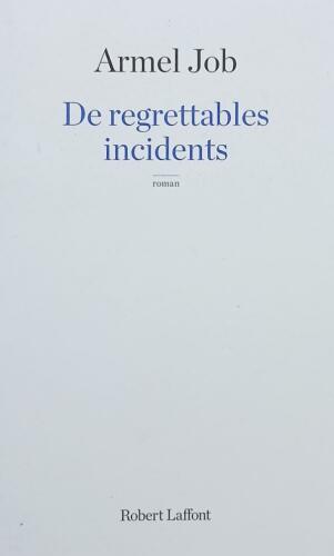 Couverture de De regrettables incidents
