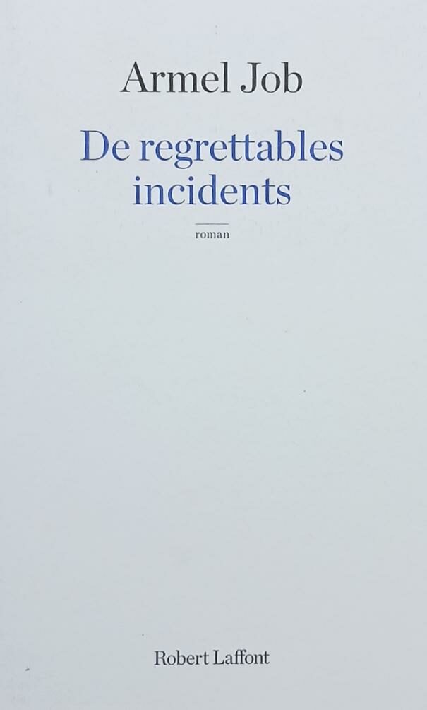Couverture de De regrettables incidents