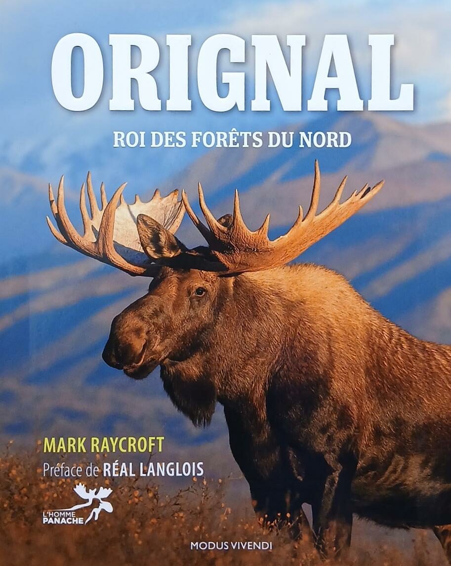Couverture de Original : roi des forêts du Nord