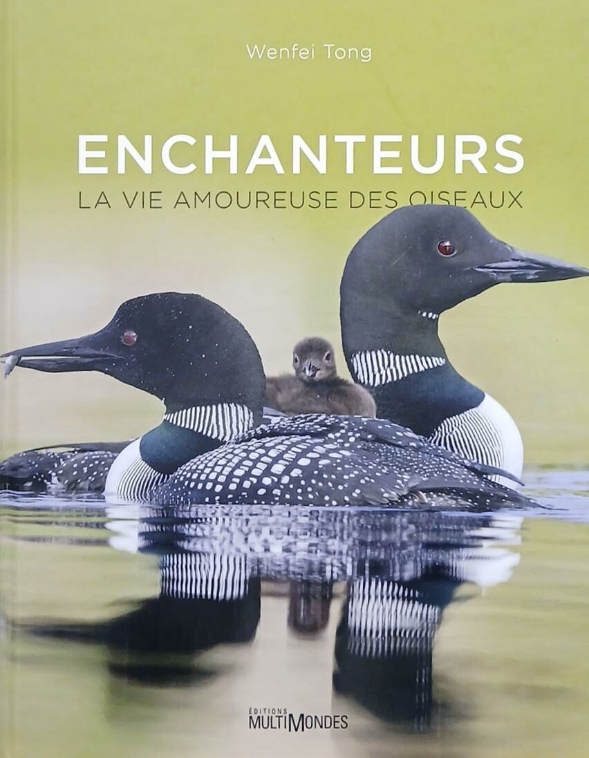 Couverture de Enchanteurs : La vie amoureuse des oiseaux
