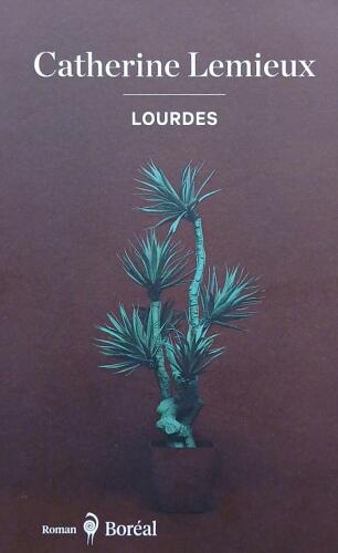 Couverture de Lourdes