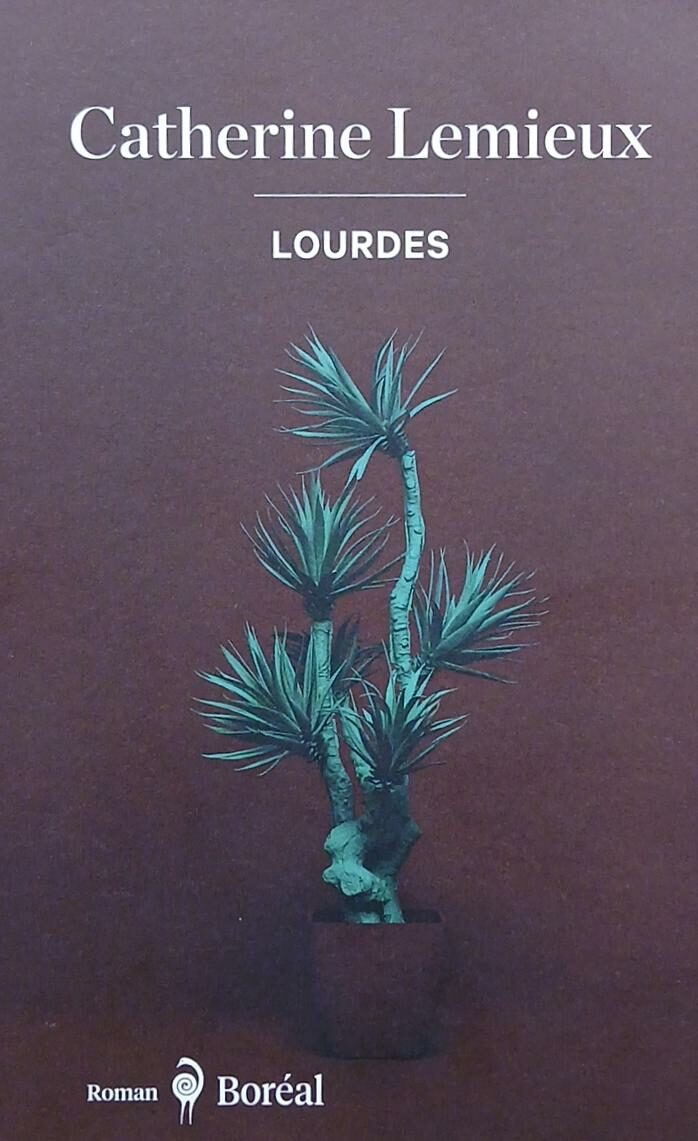 Couverture de Lourdes