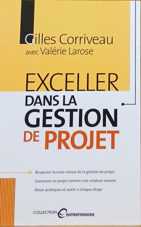Couverture de Exceller dans la gestion de projet